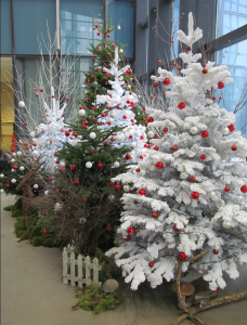 sapins